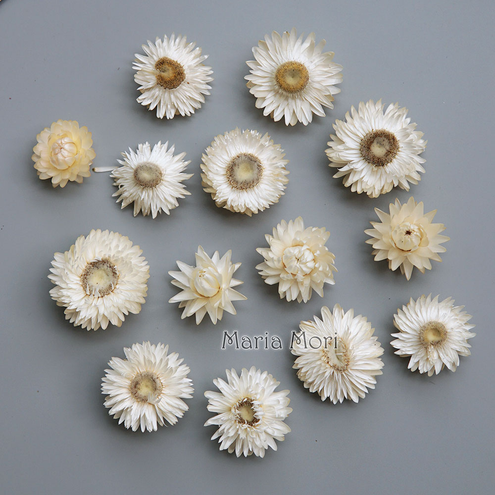 Baby Products 1 Year - Natural Dried Colorful Chrysanthemum Wreath Handmade